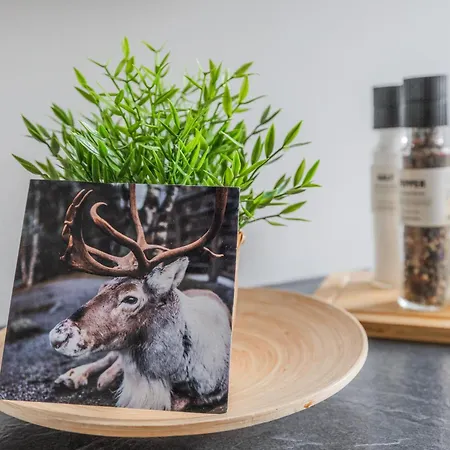 Lakeside Aurora Retreat By Booklapland Apartment Rovaniemi