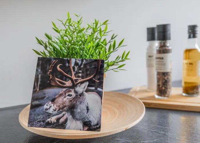 Lakeside Aurora Retreat By Booklapland Appartamento Rovaniemi